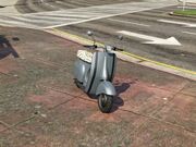 Faggio (V)