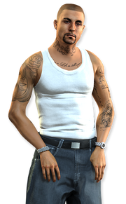 Friendlyneighbour-vagos-v