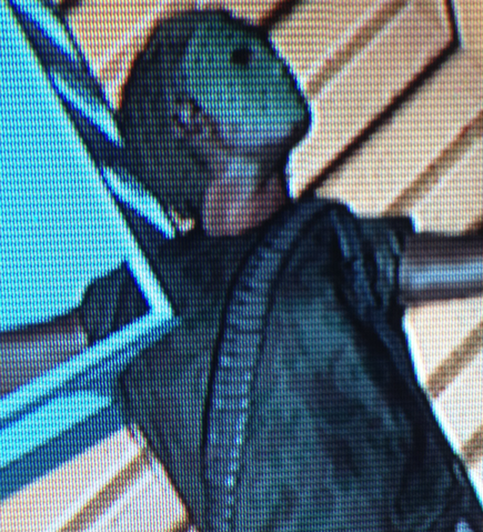 File:544px-Dead island zipper bust.png
