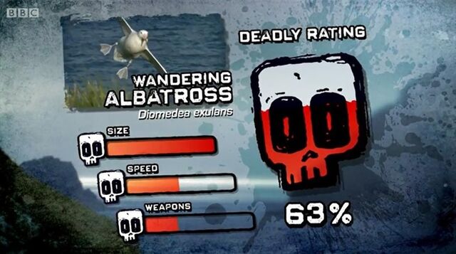 File:Ptp dr albatross.jpg