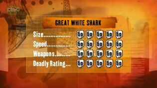 S1 DR great white