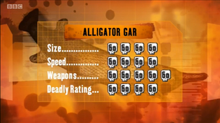 S1 DR gar