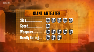 S1 DR Giant anteater