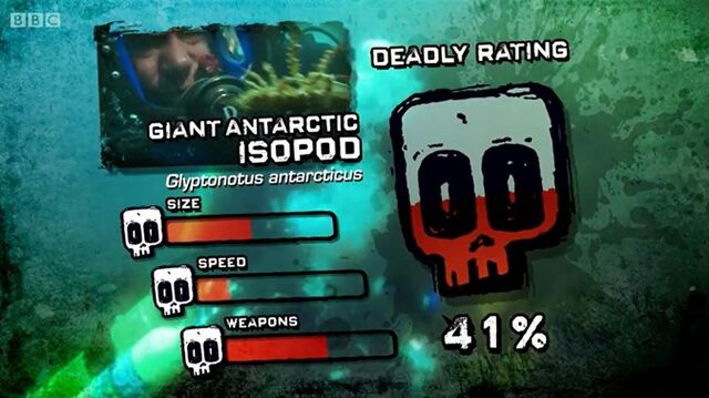 File:PTP DR isopod.jpg