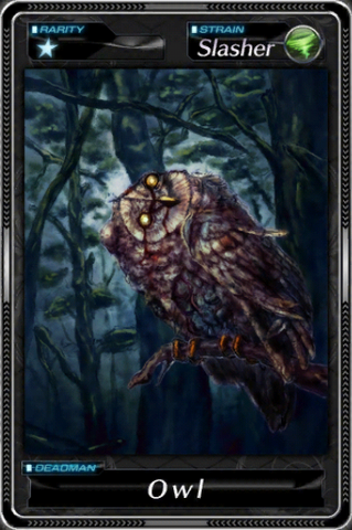 File:Owl.png