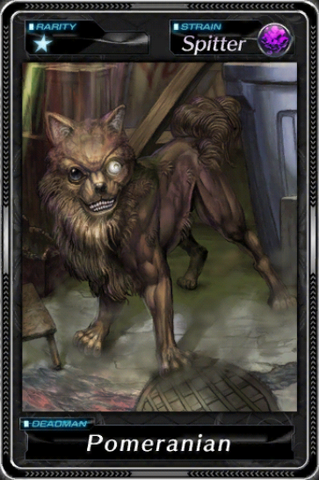 File:Pomeranian.png