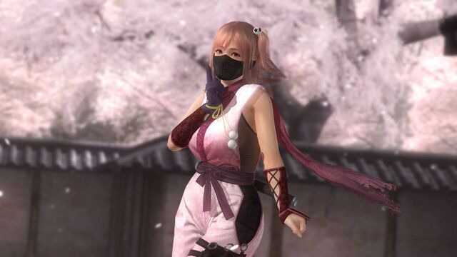 File:DOA5LR Honoka Ninja1.jpg