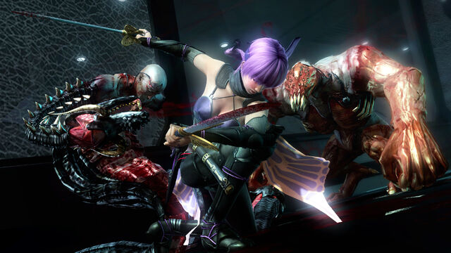 File:Ninjagaiden3wiiu002.jpg