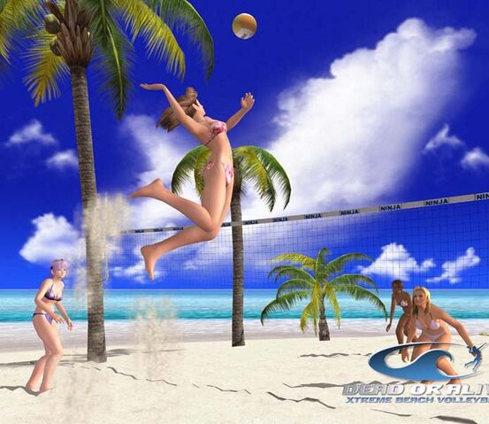 File:DOAXBV TinaLisaHitomiAyane Volleyball.jpg