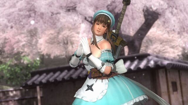File:DOA5LR Hitomi SK.jpg