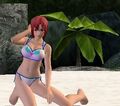 Thumbnail for version as of 16:51, January 13, 2011