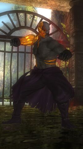 File:DOA5LR Raidou C6.jpg