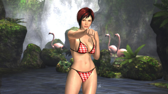 File:DOA5 Mila Swimsuit.png