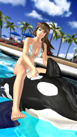 File:DOAX2 Hitomi 4.jpg