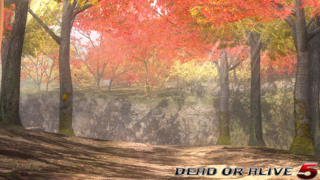 File:DOA5LR - Forest- screen by AdamCray and AgnessAngel.png