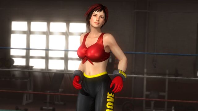 File:Free-dead-or-alive-5-costume-1-600x337.jpg