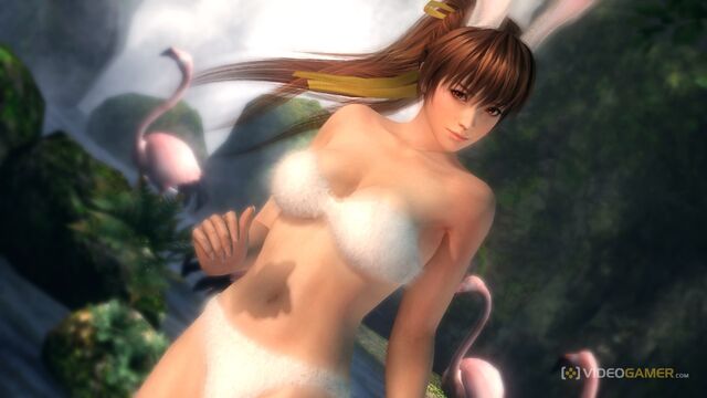 File:Doa5 81.jpg