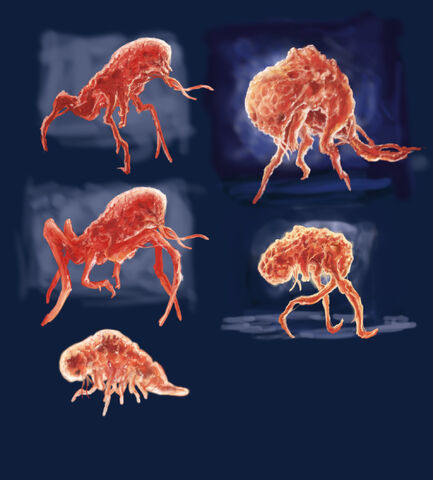 File:Ben-wanat-enemy-swarm03.jpg