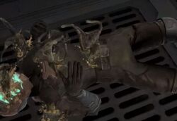 Swarmer-Death.jpg