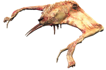 Infector overview