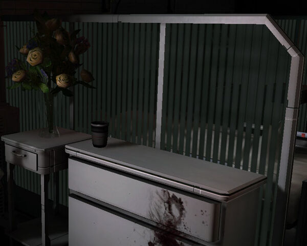 File:Chapter 1 patients2.jpg