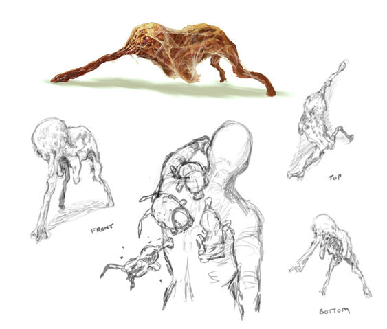 File:Ben-wanat-enemy-swarm06.jpg