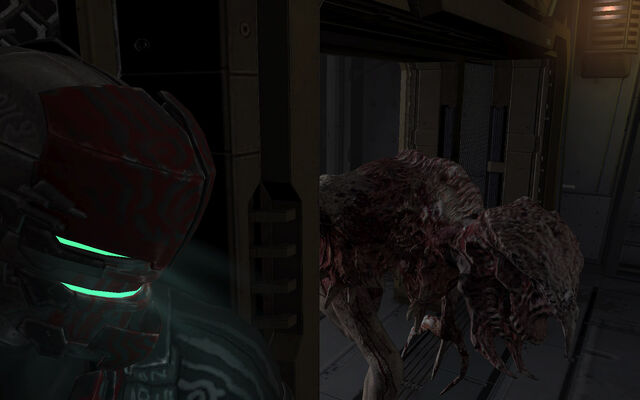 File:Stalker3 DS2.jpg