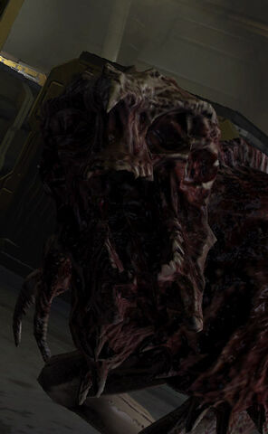 File:Stalker2 DS2.jpg