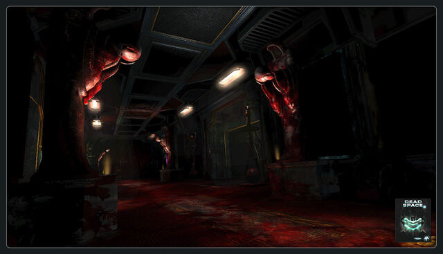 File:DS2 Screenshot39.jpg