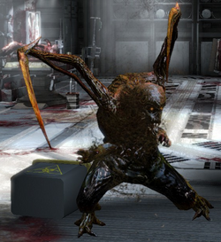 Enhanced slasher