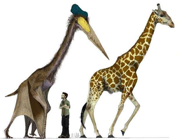 File:Quetzacoaltus sixe.jpg