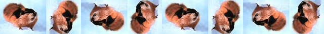 File:Lemming rotation.png
