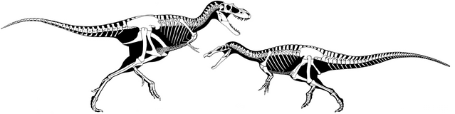 File:Gorgosaurus Baryonyx.png