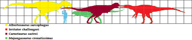 File:Height scale chart.png