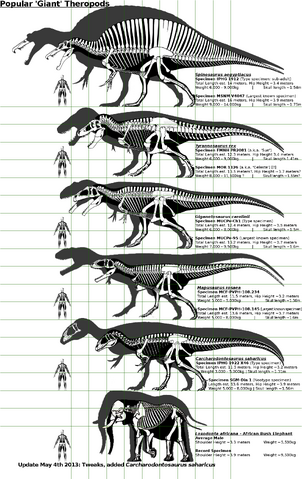 File:Popular Giant Theropods.png