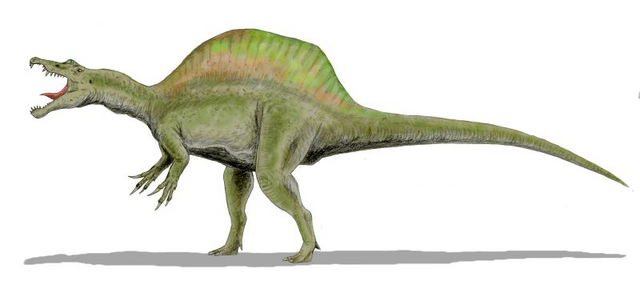 File:Spinosaurus BW.png