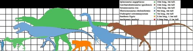 File:Theropod scale.jpg
