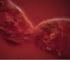 Screenshot (245)