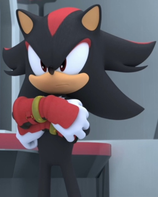 shadow in sonic boom show shadow in sonic boom show