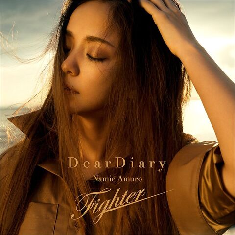 File:Dear Diary Fighter single.jpg