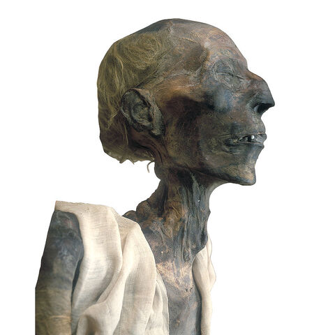 Bestand:Ram.jpg