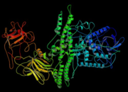 180px-Botox-structure