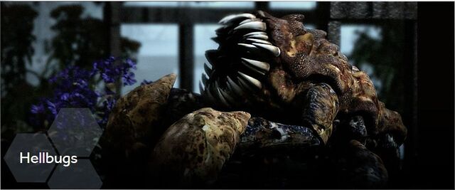 File:Hellbugs.jpg