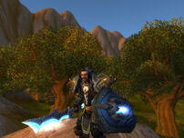 WoWScrnShot 061311 160922