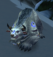 MuraqBearSPL