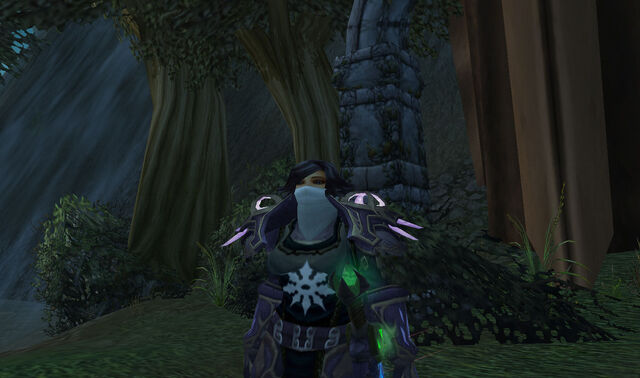 File:WoWScrnShot 122109 144922.jpg