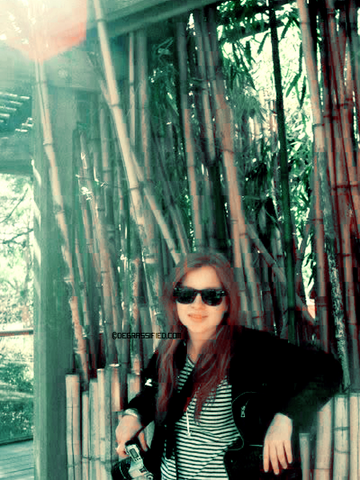 File:Tumblr lg0shm9yB61qeegx8o1 500.png