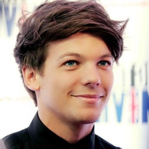 File:Louis-3-louis-tomlinson-30735461-500-500.jpg