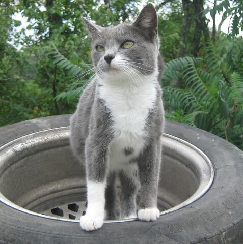 File:Picture 326.jpg