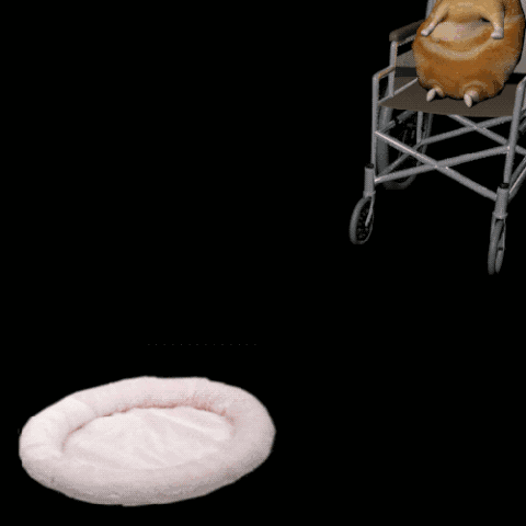 File:Tumblr mbdsh28uHK1r1nisw.gif